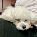 역전월드게임장 | ♥️채니의 6월 일상이야기 먹방일기♥️