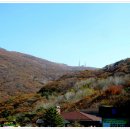 고향산장 이미지