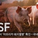 이화정농장 네이버블로그