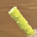 여리수 이미지