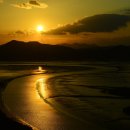 순천만습지 이미지