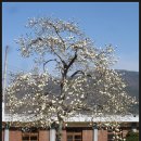 성가요양원 이미지