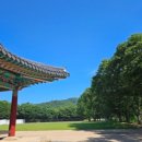 미인상회 이미지