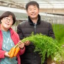 김경희농장 이미지