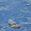 씨유 남해평산점 이미지