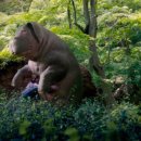 미란코퍼레이션 | 개봉영화/옥자/신작영화/봉준호감독영화