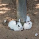 화서휴게소 이미지