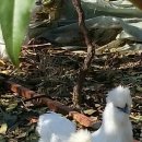 현성농장 이미지