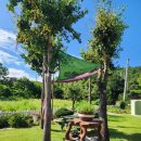 바다에걸린별 이미지