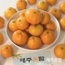 제주온팜