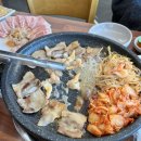 삼성갈미조개 이미지
