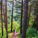 여명산림개발