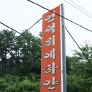 언덕위에오리집 이미지