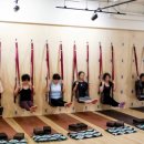 테라피 요가B 이미지