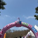 인천대공원(남문) | 2026 인천대공원 벚꽃축제 개화 현황 후기 (4/4 토요일) 주차 포토스팟 정보