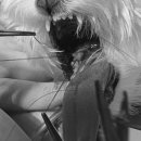 다나은동물병원 이미지