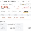 tiger골드선물(H)는 어떨까요? 이미지