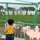 두드림 - 서구 갈마중로8번길 60 | 포항 아이랑 가볼만한곳 추천｜ 두드림 농장 상세 후기