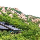 그루터기 캠핑장 이미지