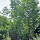 로사목장 이미지