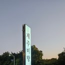 미향식당 | 제주 서귀포 맛집 제주미향 갈치요리 가성비 좋은 식당 후기