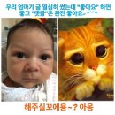 All in a cup 네이버블로그