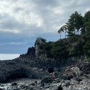 블루밍 스파앤풀빌라 이미지