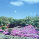 식사하세요 - 포항시 남구 | 식사하세요