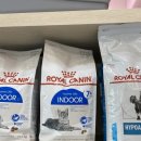 위시티 동물병원 이미지