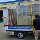 부성공조 이미지