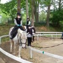 백수서초등학교 이미지