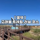 덕천리 해수욕장 | 영덕 고래불해수욕장 트레킹,산책,러닝 힐링코스 추천