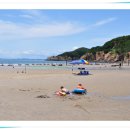 구리동해수욕장 Daum카페