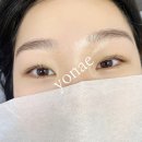 산호골 | 삼성역, 선릉역 [뽐누왁싱&amp;뷰티] 속눈썹펌 솔직 후기