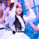 대전버드내초등학교 이미지