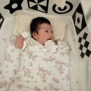 이가이불 | 신생아 모로반사 방지 엘라바 태열 좁쌀이불 후기!