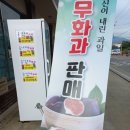 덕곡주유소 이미지