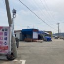 황포항 | 태안 안면도 강아지동반 여행 바다가쓴시 펜션 근처 동네 풍경 및 도보 여행