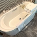 호수사우나 | [잠실/소피텔서울호텔]석촌호수뷰 더블룸,사우나이용후기