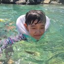 원척리경로당 네이버블로그