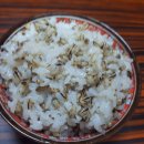 검정찰보리쌀 판매글 올립니다. 이미지