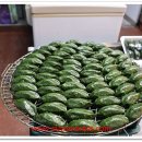 이가네만두 이미지