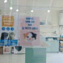 이쁘냥 고양이미용실 대전점 이미지