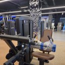 라이프 휘트니스 | 내수PT 정글짐헬스장 라이프휘트니스 인시그니아 처음 써 본 후기