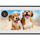 펫푸드팩토리 이미지