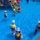 용인대석사명품태권도 이미지