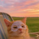 몸 편한 세상 이미지