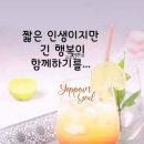 👉양파(다마내기)라고도하죠. 이미지