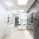 기흥나무동물병원 이미지