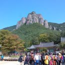 청송 이미지